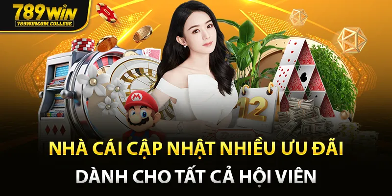 Nhà cái cập nhật nhiều ưu đãi dành cho tất cả hội viên